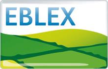 Accordo ChefCarni Eblex per nuova linea di ottima carne inglese