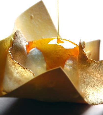 Gelato di panna cotta con petali di tartufo bianco 