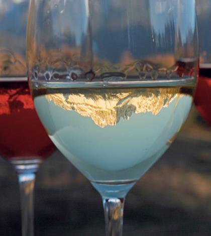 Hotel 2013:  i vignaioli indipendenti dell’Alto Adige si presentano con Vinea Tirolensis