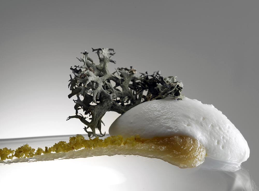 Il foraging secondo Wood*ing