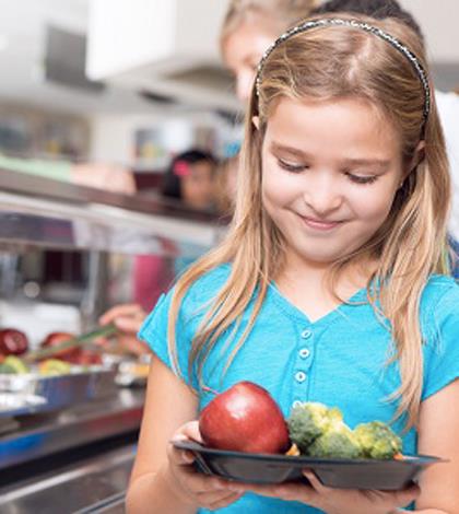 Il temporale vegano dell'estate: le scelte delle mense di Milano riaprono il dibattito