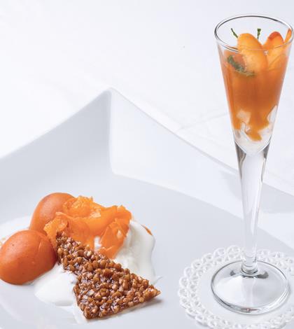 Mousse di yogurt, albicocche di Magliano e lavanda