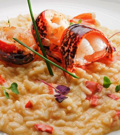 Risotto agli agrumi con astice, fiori e pepe cubes