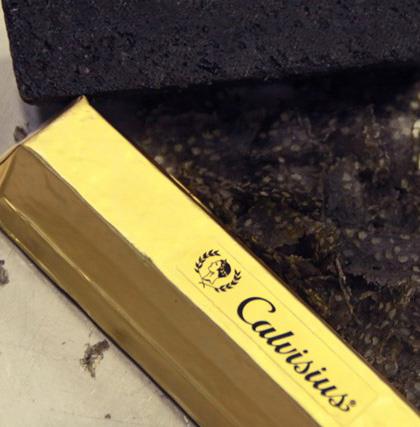 Un Lingotto di piacere: Calvisius